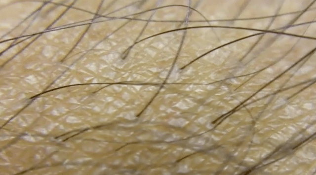 theleftoverscollective